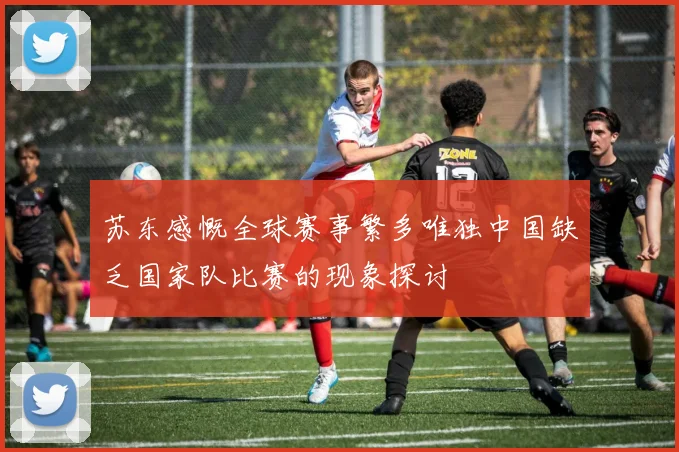 苏东感慨全球赛事繁多唯独中国缺乏国家队比赛的现象探讨