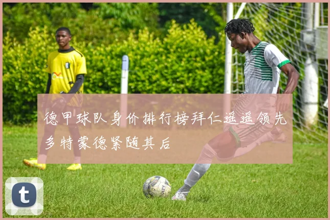 德甲球队身价排行榜拜仁遥遥领先多特蒙德紧随其后