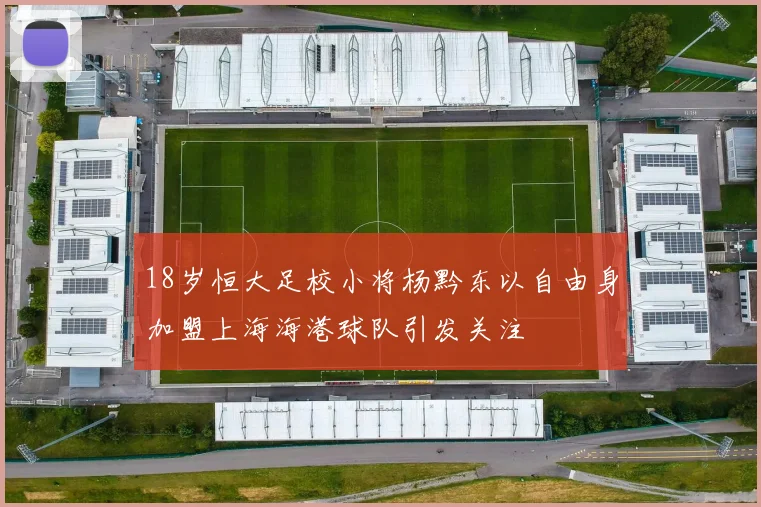18岁恒大足校小将杨黔东以自由身加盟上海海港球队引发关注