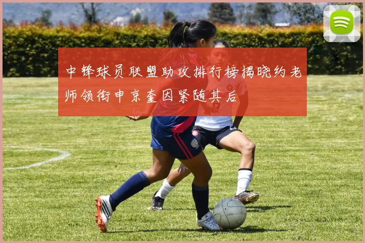 中锋球员联盟助攻排行榜揭晓约老师领衔申京奎因紧随其后